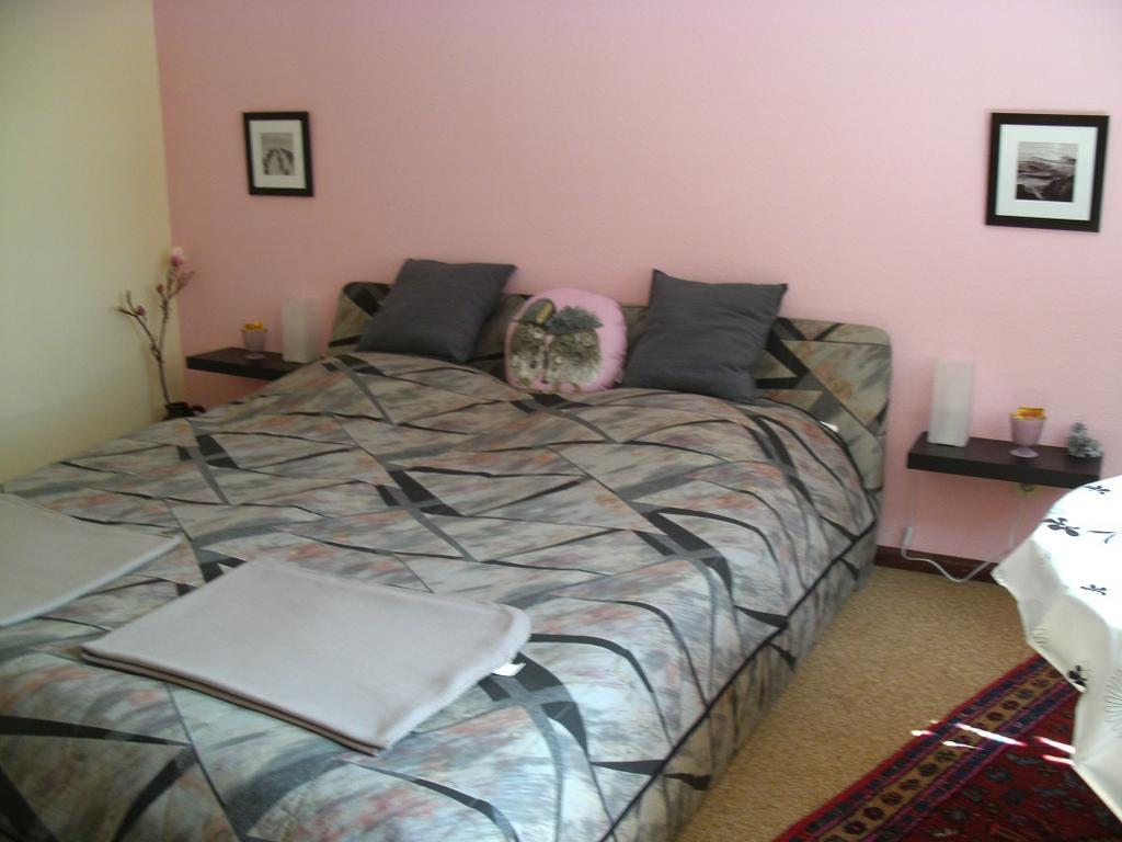 Tannhaeuser B&B Bad Durrheim Ruang foto